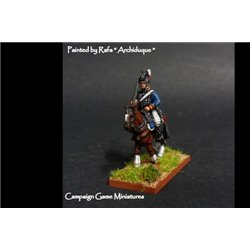 Peninsula Light Cavalry Sword on Shoulder in Tarleton with command