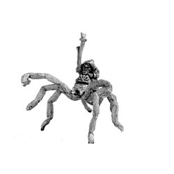 Goblin Sorcerer on Giant Spider
