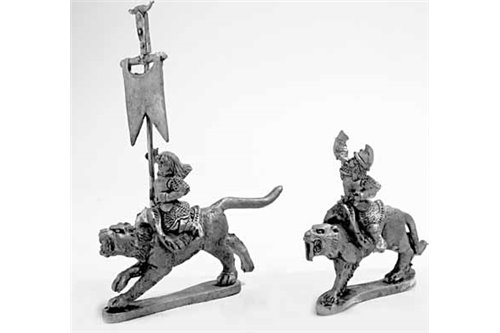 Amazons Cat Riders Command 