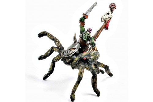 Goblin Standar Bearer on Giant Spider
